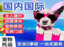 承德普宁机场托运国际宠物托运 【国